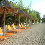 Delfini 3* نيدري